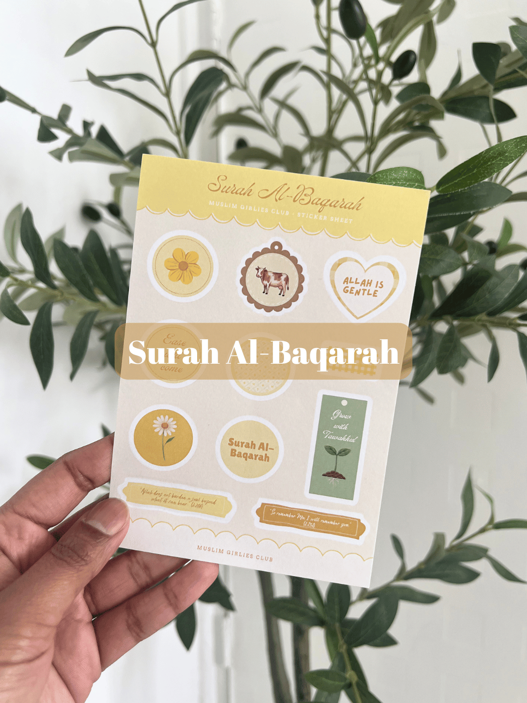 Sticker Sheets